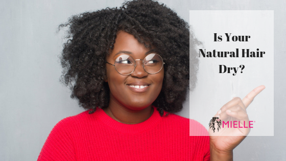 Dry Hair Products Six Ways To Fix Dry Natural Hair MIELLE