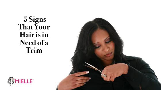 5 Signs That Your Hair Is in Need of a Trim