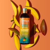Mango & Tulsi Shampoo - Stylized