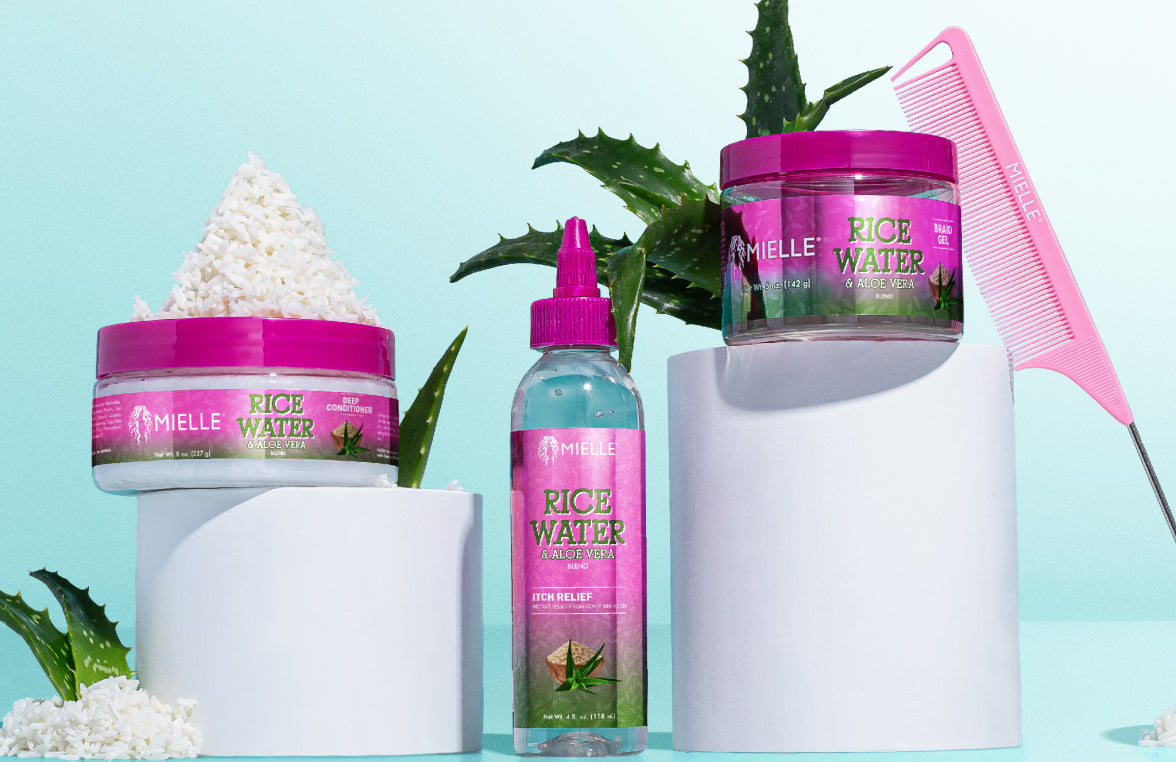 Mielle Organics Rice Water & Aloe Vera products with aloe plant and comb.