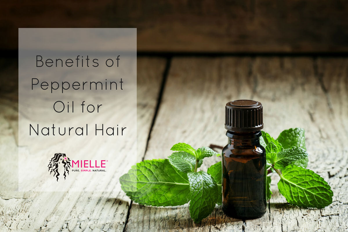 Benefits of Peppermint Oil for Natural Hair | Mielle