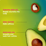 Avocado & Tamanu Anti-Frizz Conditioner