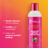 Babassu & Mint Damage Repair Shampoo