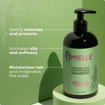 Rosemary Mint Strengthening Shampoo