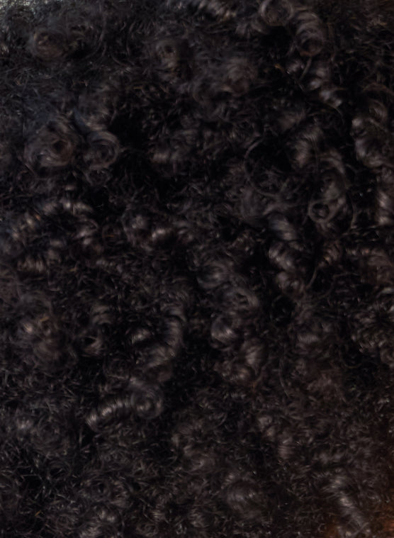 Category Banner Image 1