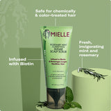 Rosemary Mint Clarifying Sugar Scalp Scrub