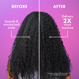 Lavender & Lychee Scalp Moisturizing Shampoo