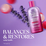 Lavender & Lychee Scalp Moisturizing Shampoo