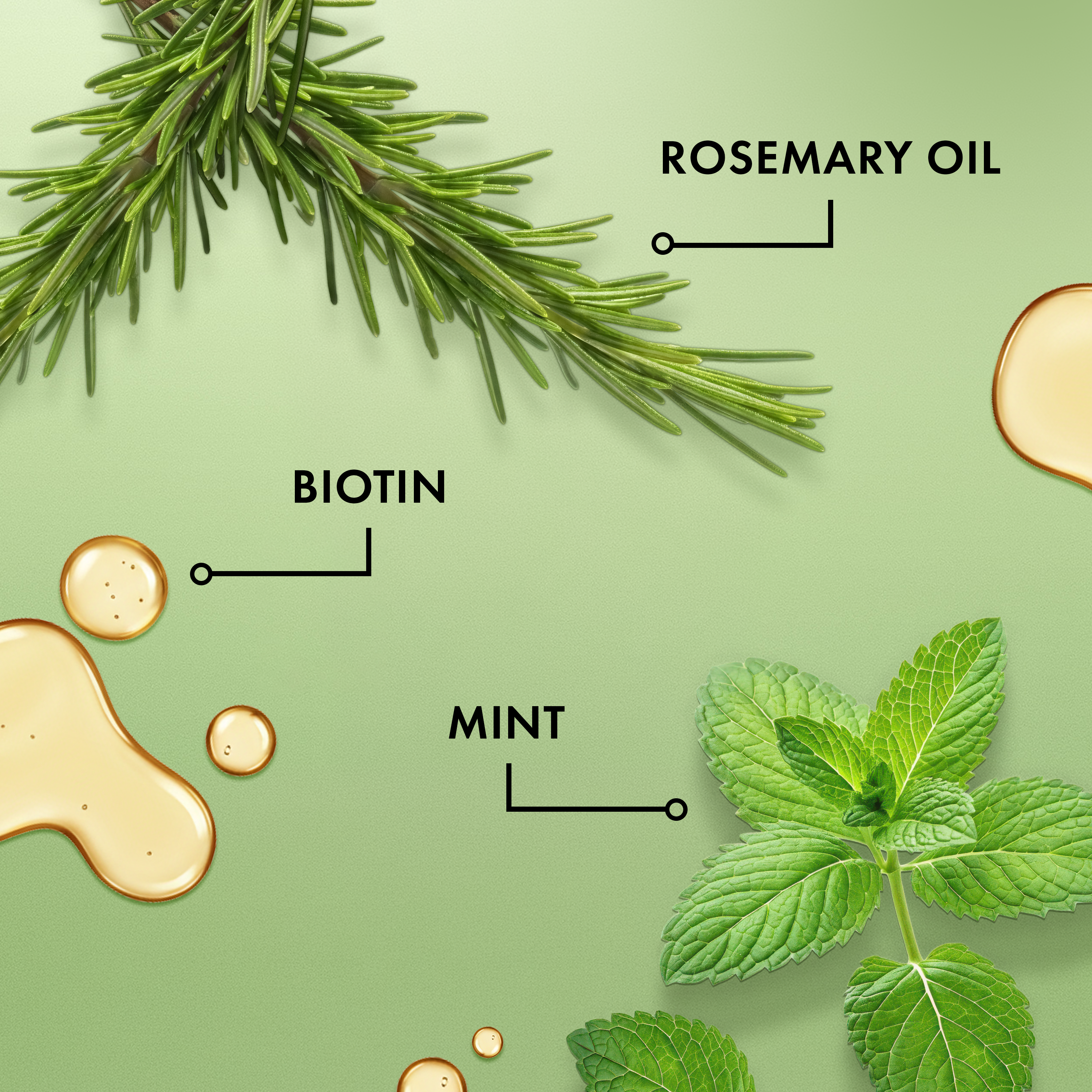 Aceite Mielle